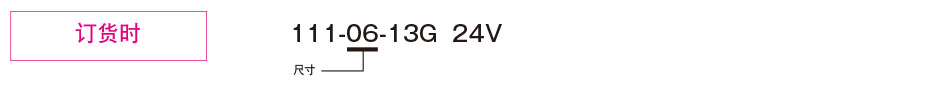 111-□-13G