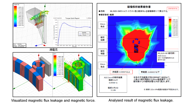 magnetic field analysis service.