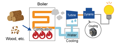 How Biomass Works