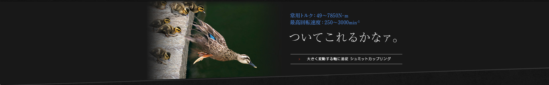 ついてこれるかなァ。大きく変動する軸に追従するシュミットカップリングの紹介です。