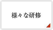 1年間の研修