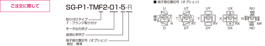 お得商品 シグマー 三相ＳＧ－Ｐ１ギアモーター 出力０．２Ｋｗ 減速比１／４０ 1台 (TML2-02-40) その他  ENTEIDRICOCAMPANO